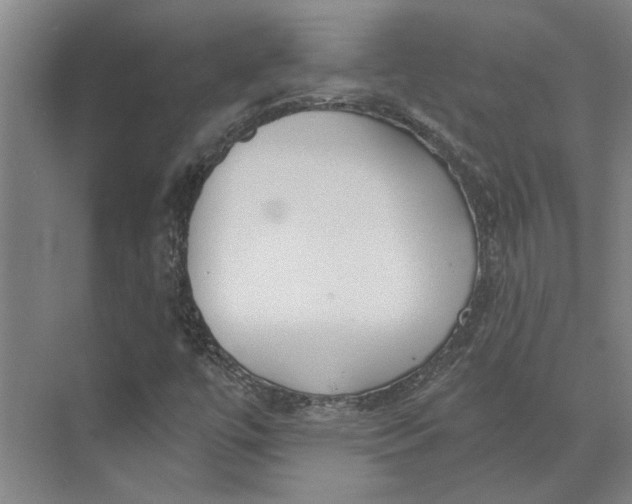 X0000073971447200609111730