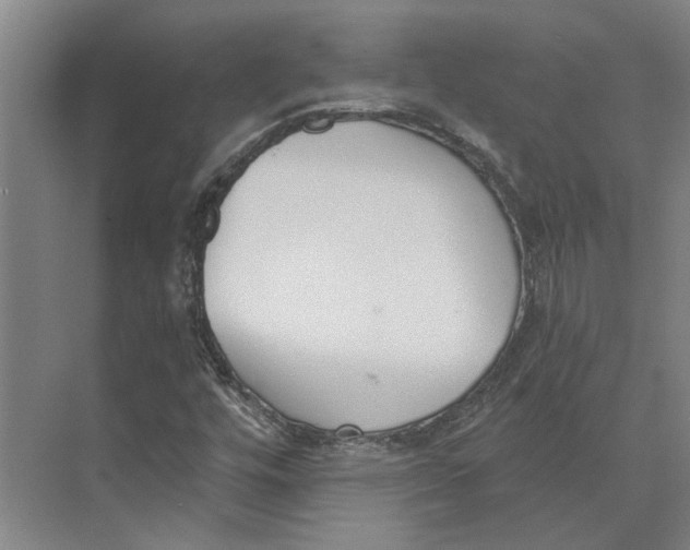 X0000073971448200609111730