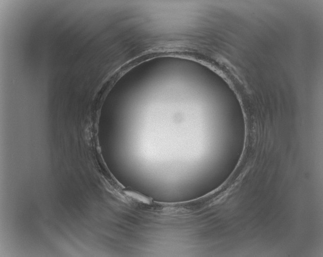 X0000073971449200609111730