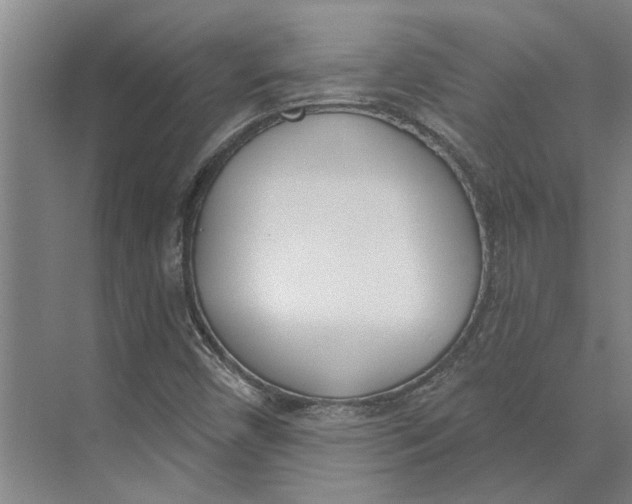 X0000073971450200609111730