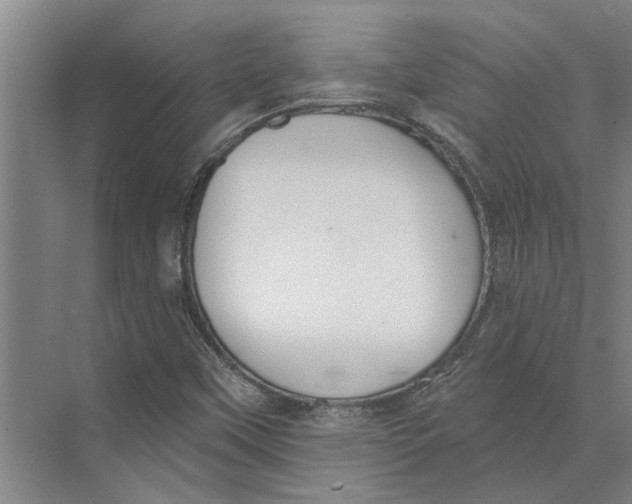 X0000073971451200609111730