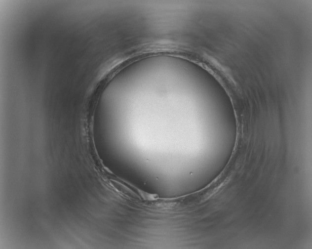 X0000073971453200609111729