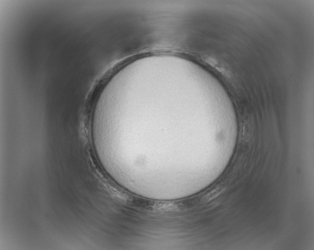 X0000073971454200609111729