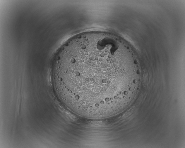 X0000073971455200609111729