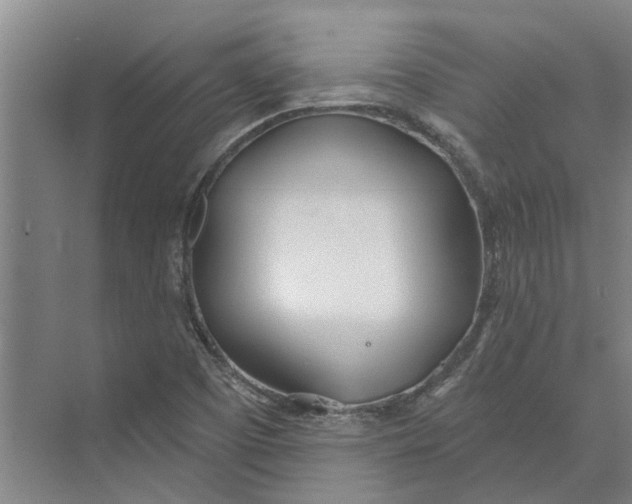 X0000073971457200609111729