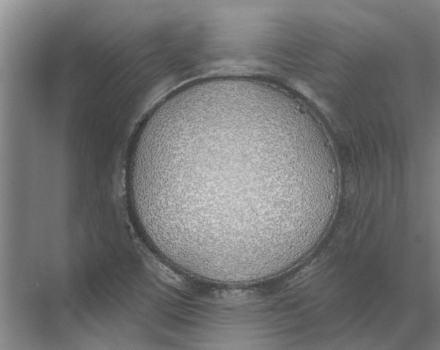 X0000073971459200609111729