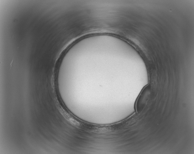 X0000073971460200609111729