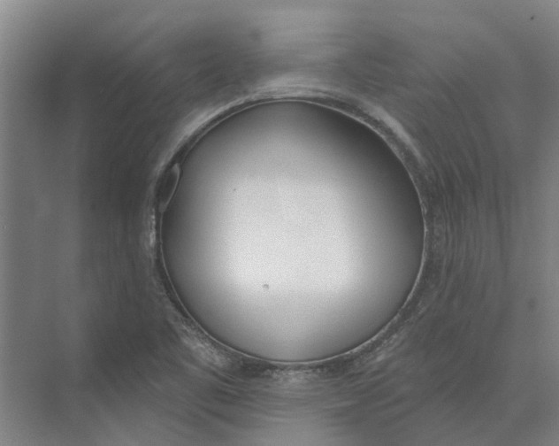 X0000073971461200609111729