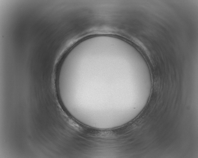 X0000073971464200609111729