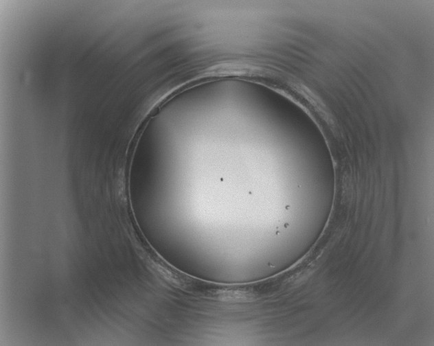 X0000073971465200609111729