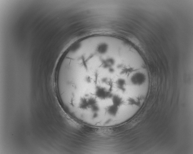 X0000073971466200609111729