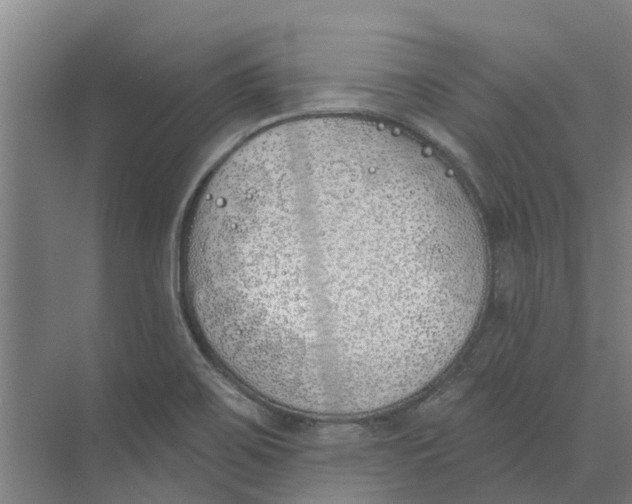 X0000073971467200609111729