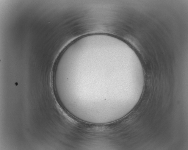 X0000073971468200609111729