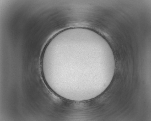 X0000073971470200609111729