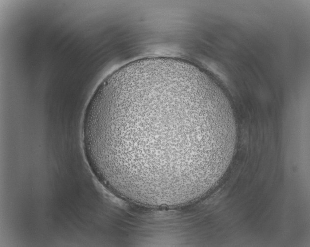 X0000073971471200609111729