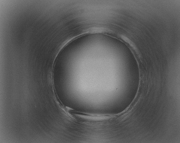 X0000073971473200609111729