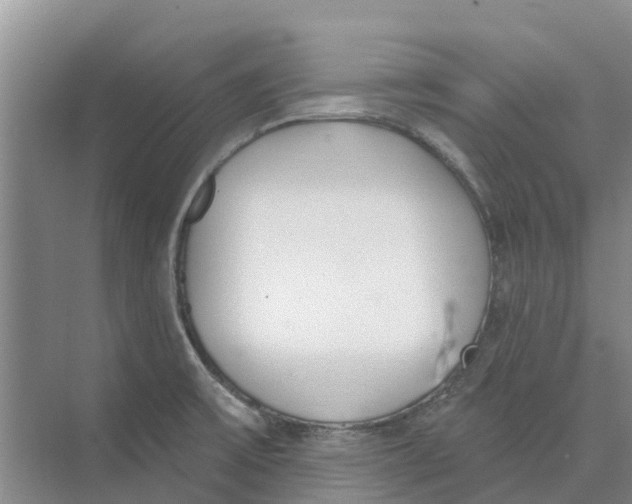 X0000073971475200609111729