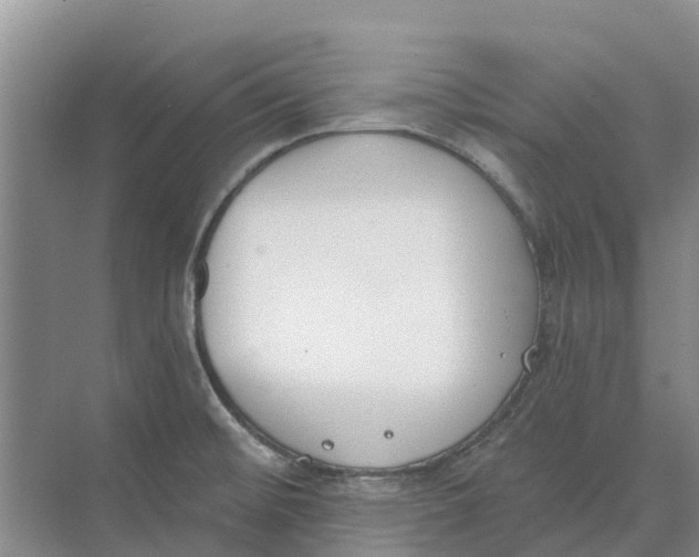 X0000073971476200609111729