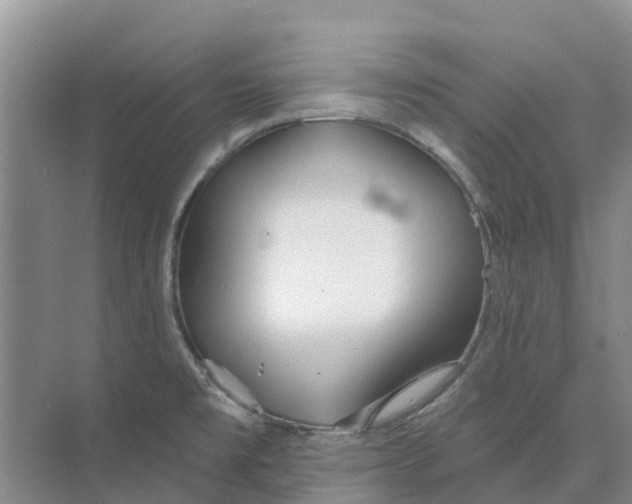 X0000073971477200609111729