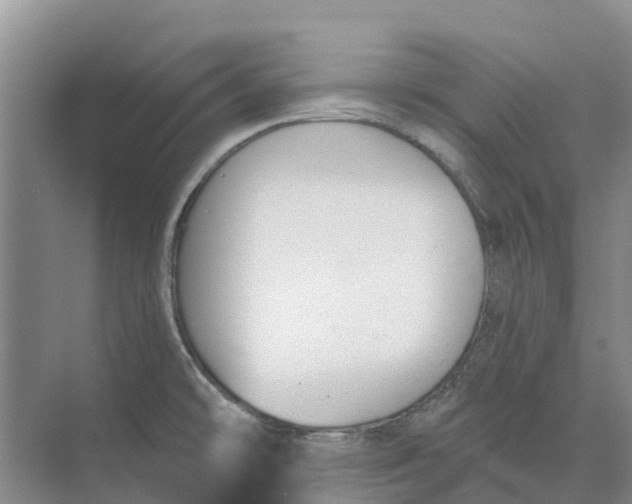 X0000073971478200609111729