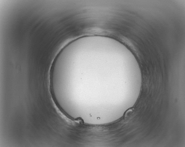 X0000073971479200609111729