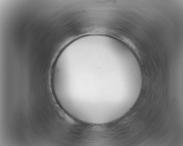 X0000073971480200609111729