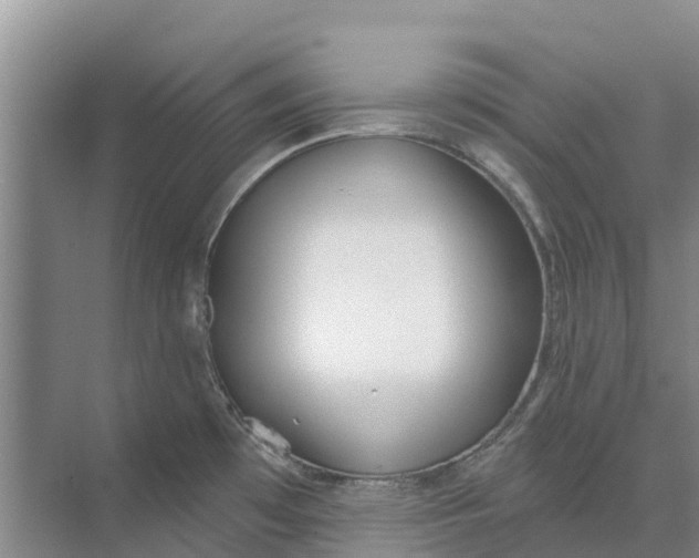 X0000073971481200609111729