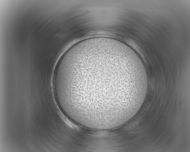 X0000073971482200609111729