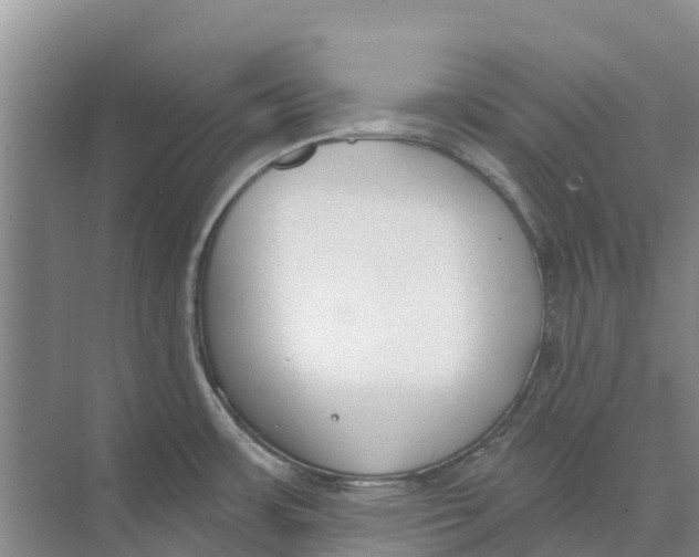 X0000073971483200609111729