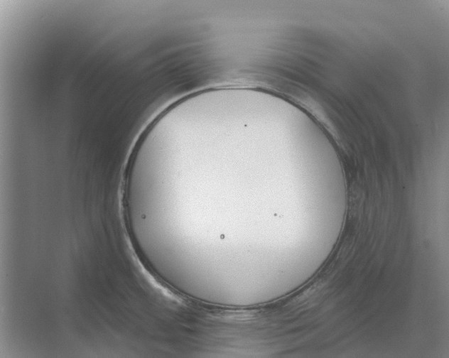 X0000073971484200609111729