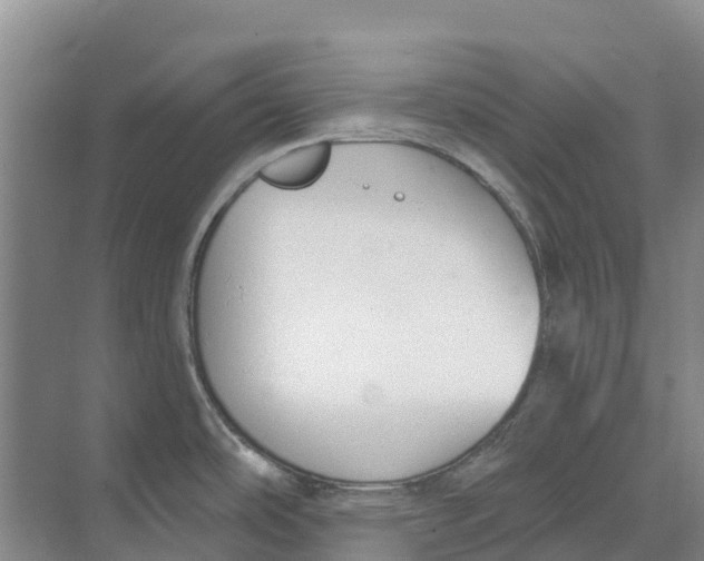 X0000073971486200609111729