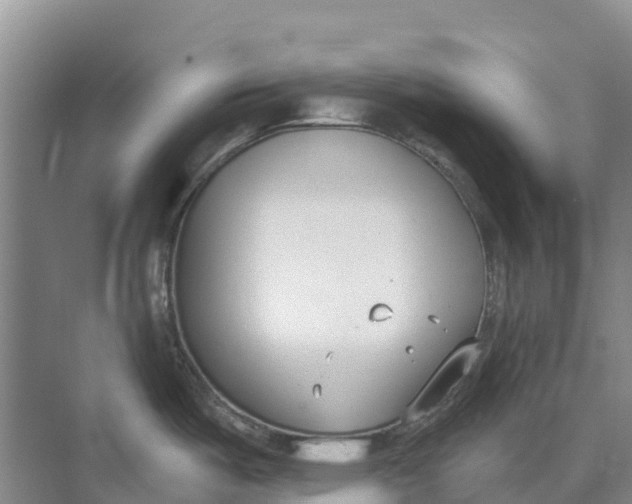 X0000073971487200609111729