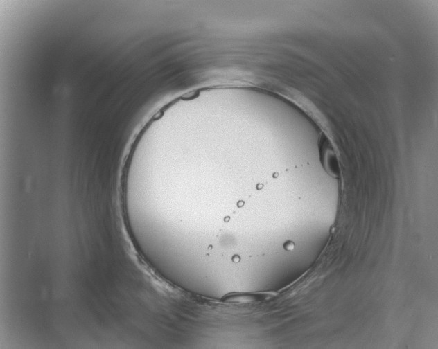 X0000073971488200609111729