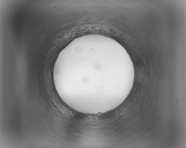 X0000073971489200609111728