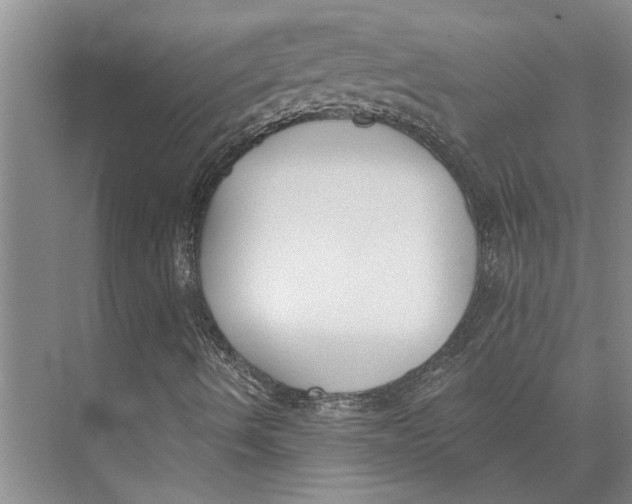 X0000073971490200609111728