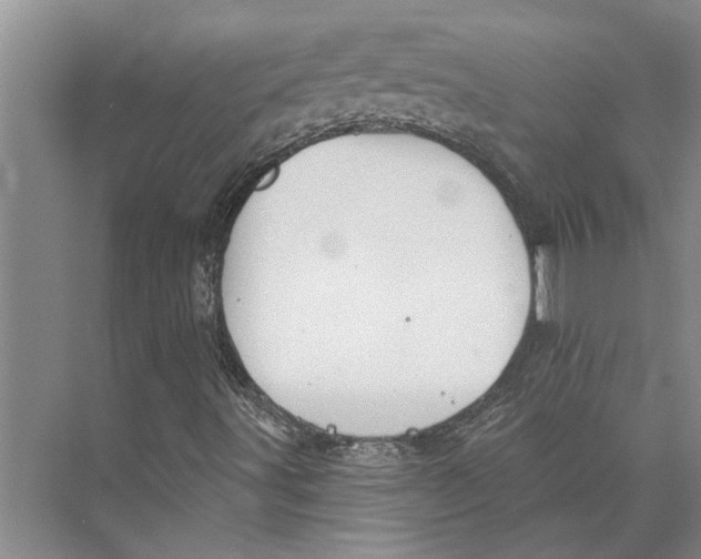 X0000073971491200609111728