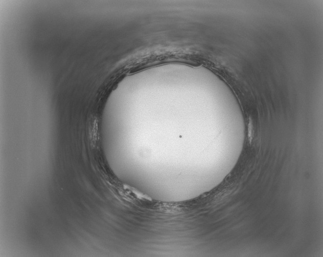 X0000073971492200609111728