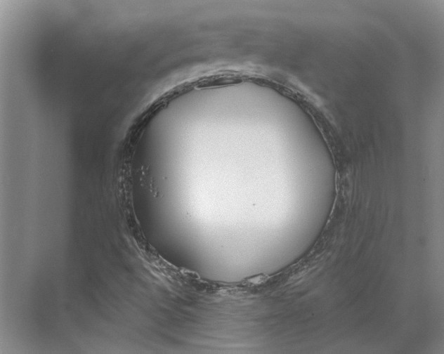 X0000073971496200609111728