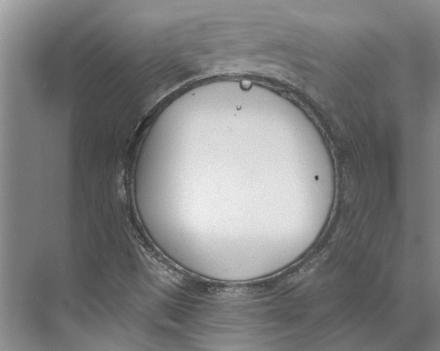 X0000073971497200609111728