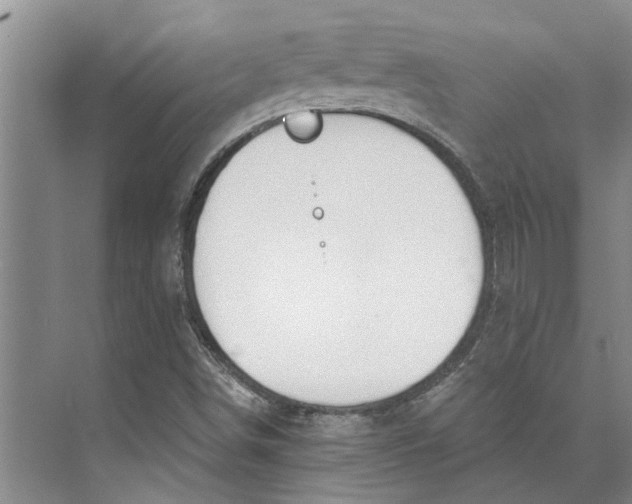 X0000073971498200609111728