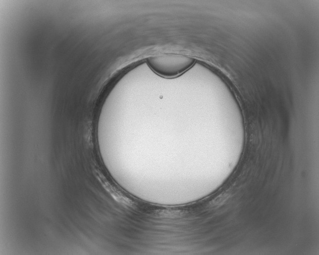 X0000073971499200609111728