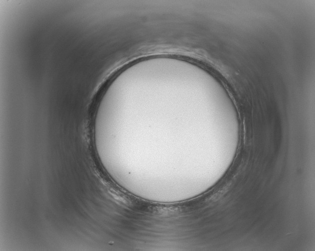 X0000073971501200609111728