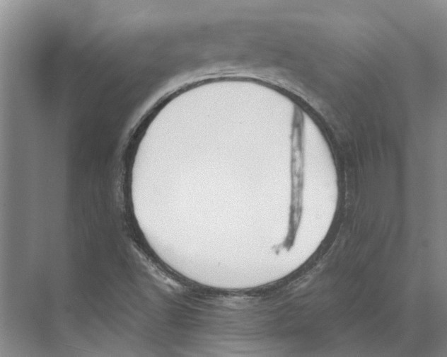 X0000073971502200609111728