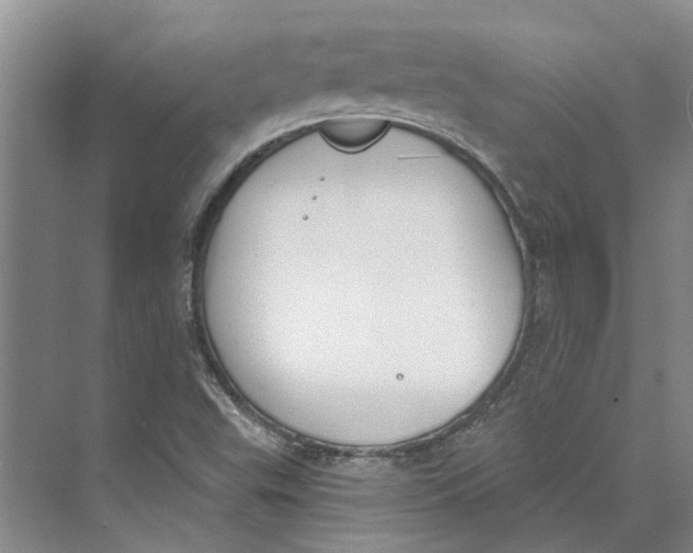 X0000073971503200609111728