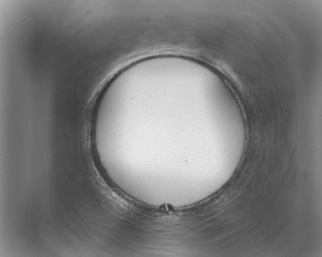 X0000073971504200609111728