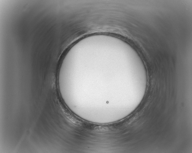 X0000073971505200609111728