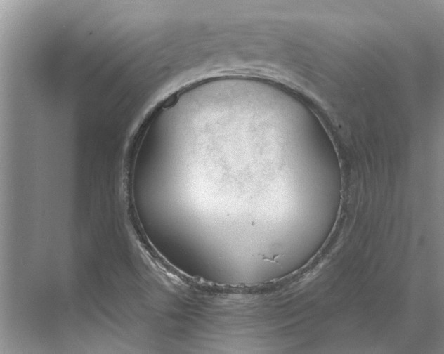 X0000073971506200609111728