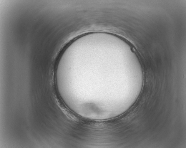 X0000073971507200609111728