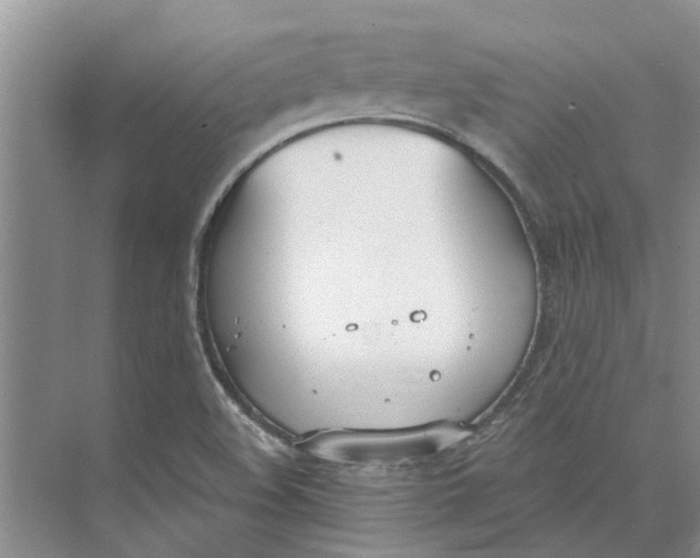 X0000073971508200609111728