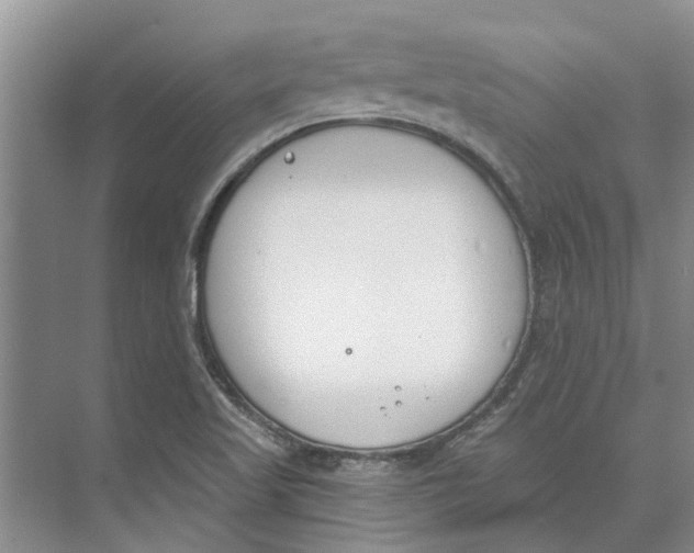 X0000073971509200609111728